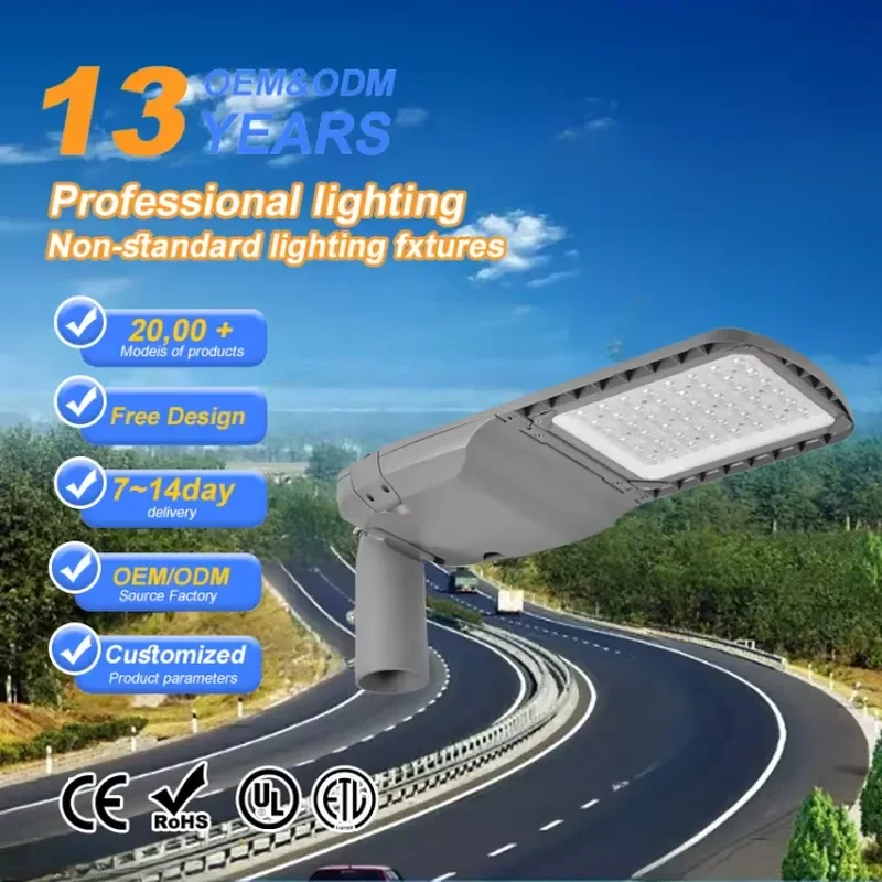Professional IP65 Die-Cast Aluminum Street Lamp for Outdoor LED Main Road Lighting with AC Power Supply