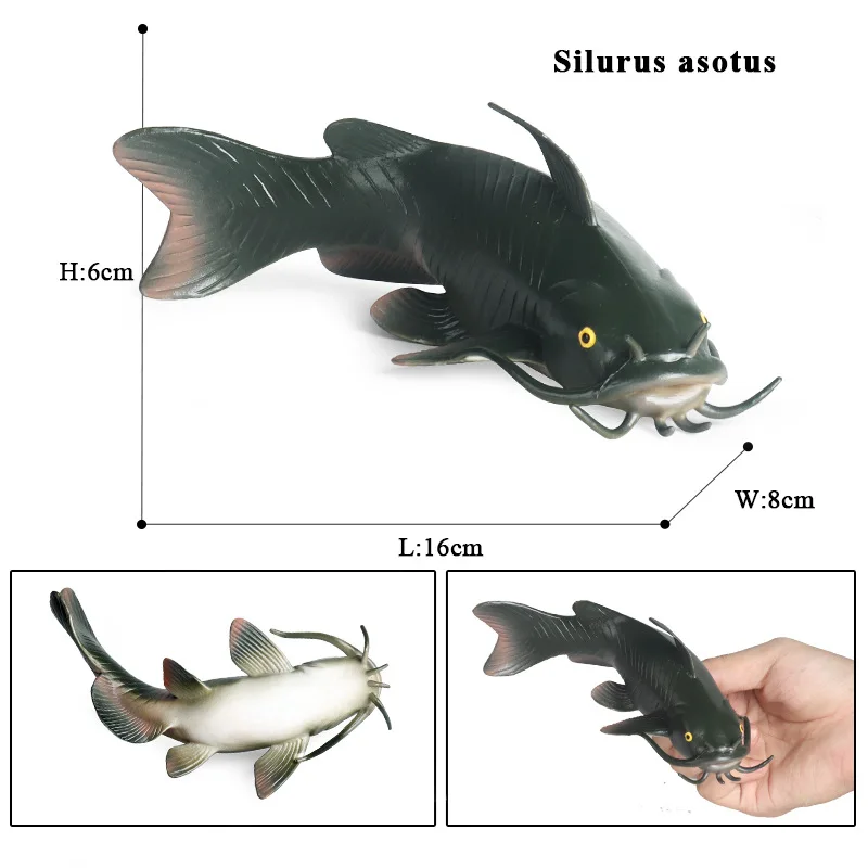 Children\'s Simulation Animal Model Toy Solid Static Ornaments Catfish Pond Lice Pregnant Fish Beards Catfishs Freshwaters Fishs