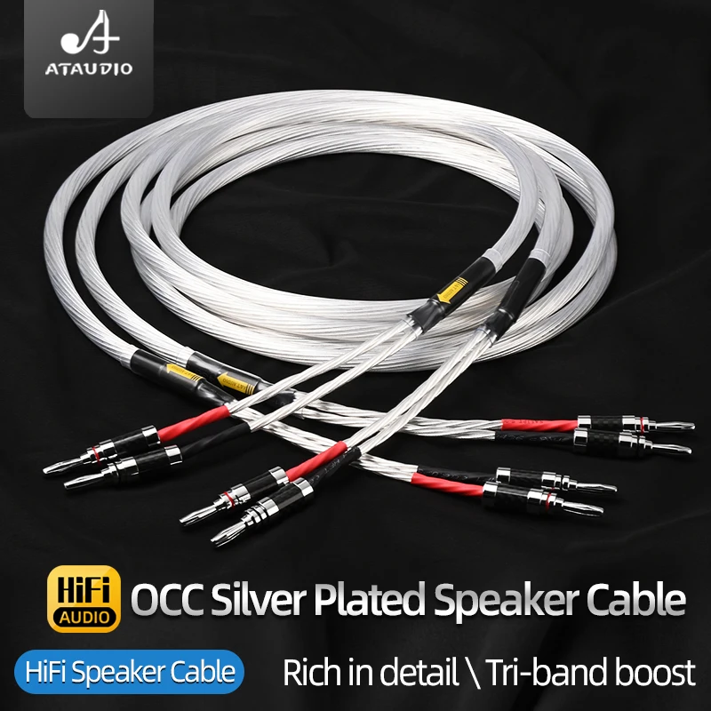 One Pair HiFi Speaker Cable High Quality 7N OCC Silver-plated Speaker Wire for Hi-Fi System Amplifier Loudspeaker Cable