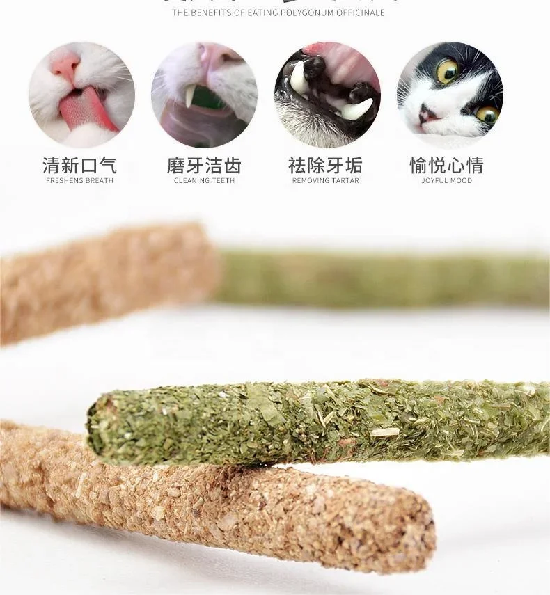 Thumbnail 2 - #19 Latest Pet Toys Updates