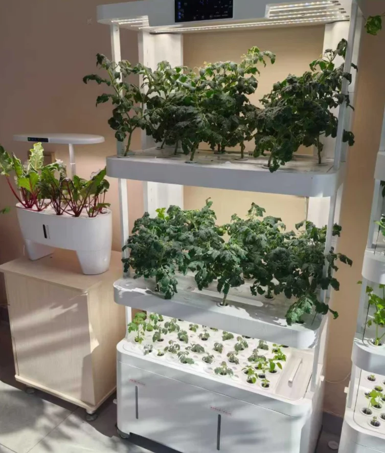 All-in-One Smart Hydroponic System Lighting & Water Cycle Timer Indoor Planting Blueberry, Lettuce, Spinach, Basil Cultivation