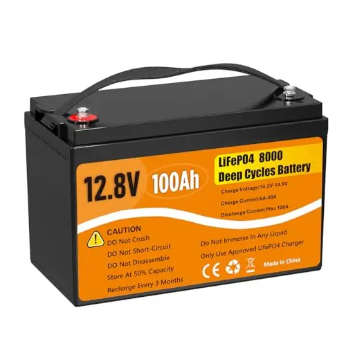 12V 100Ah LiFePO4 Lithium Battery, Group 31 Lithium Iron Phosphate 8000+ Deep Cycles 10-Year Lifespan 100A BMS Low