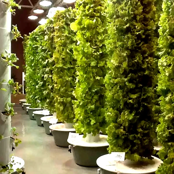 Outdoor Hydroponic Tower Grow Systems Garden Agricultural Soilless Vertical Hydroponic Grow Tower view 5