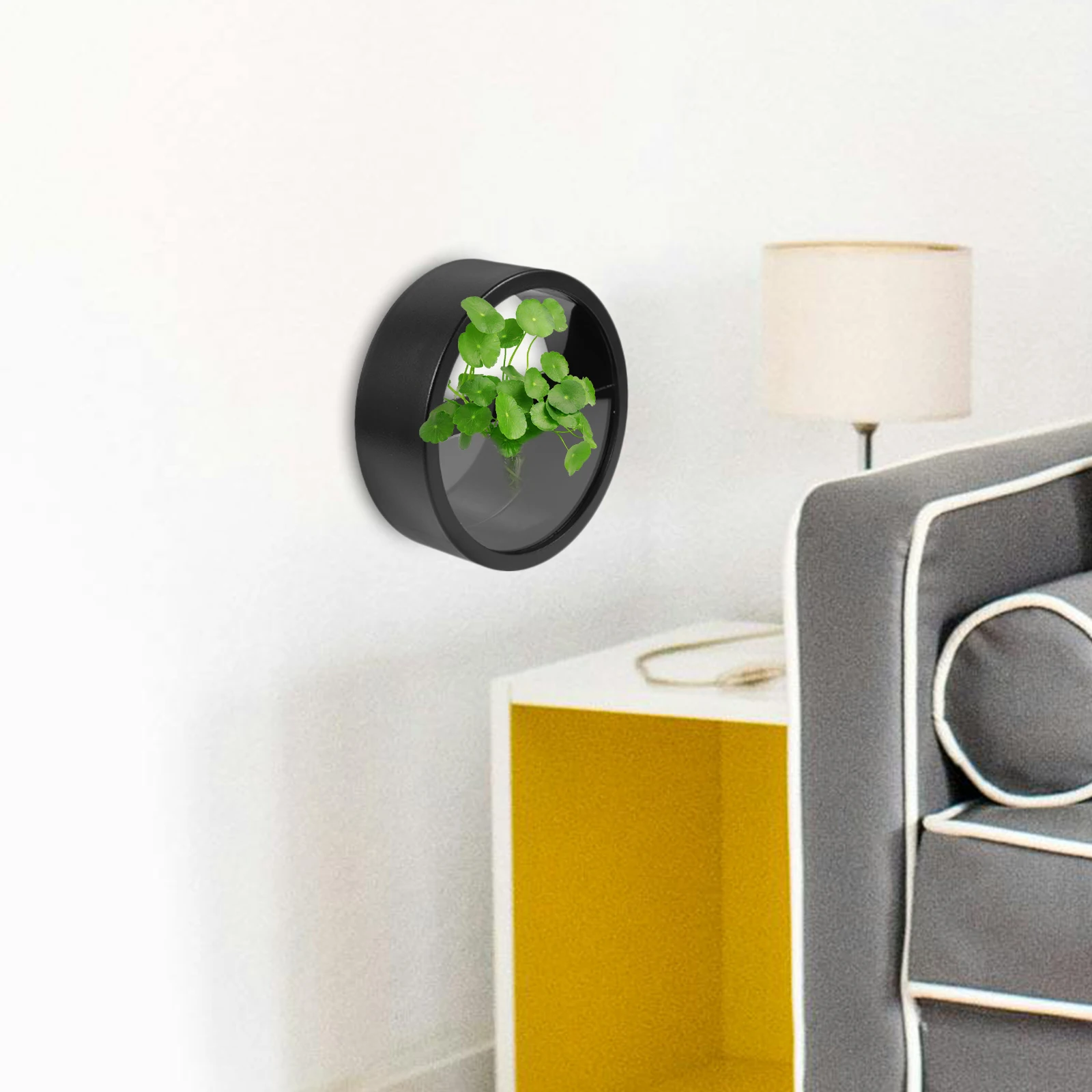 

Medium Size Black Round Wall Hanging Flower Pot Creative Decorative Flowerpot Office Home Living Room Transparent Acrylic