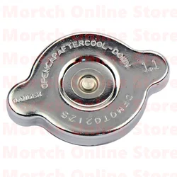 CN250 CF250 Radiator Cap 250-5094C For Jonway JMstar CFmoto Scooter Motorcycle ATV 172mm Engine