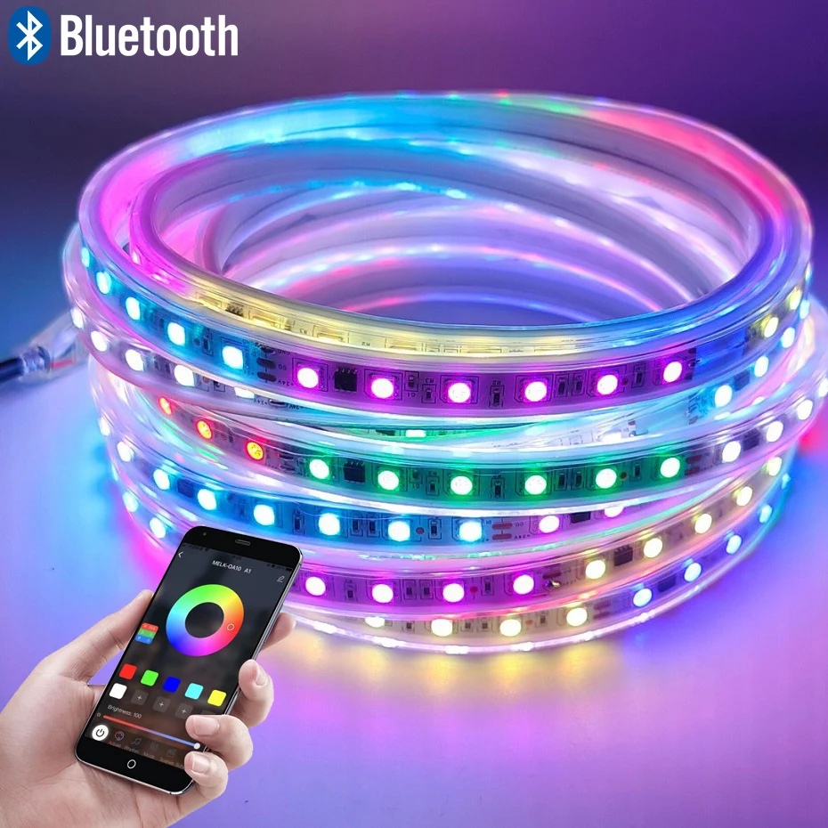 Dreamcolor RGBIC LED Strip Light Bluetooth Control RGB Tape AC110V AC220V Led Ribbon Waterproof For Outdoor Lighting Decoration