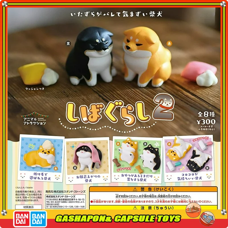 

Genuine Shibagurashi Shiba Inu Gashapon Ball Figure Kawaii Chubby Dog Ornament Lovely Desk Decor Anime Pet Collectors Fans