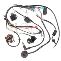 Arnés de cableado eléctrico completo, bobina CDI de telar para motocicleta de 50cc, 70cc, 90cc, 110cc, 125cc, ATV, Quad Pit Bike, Buggy, Go Kart