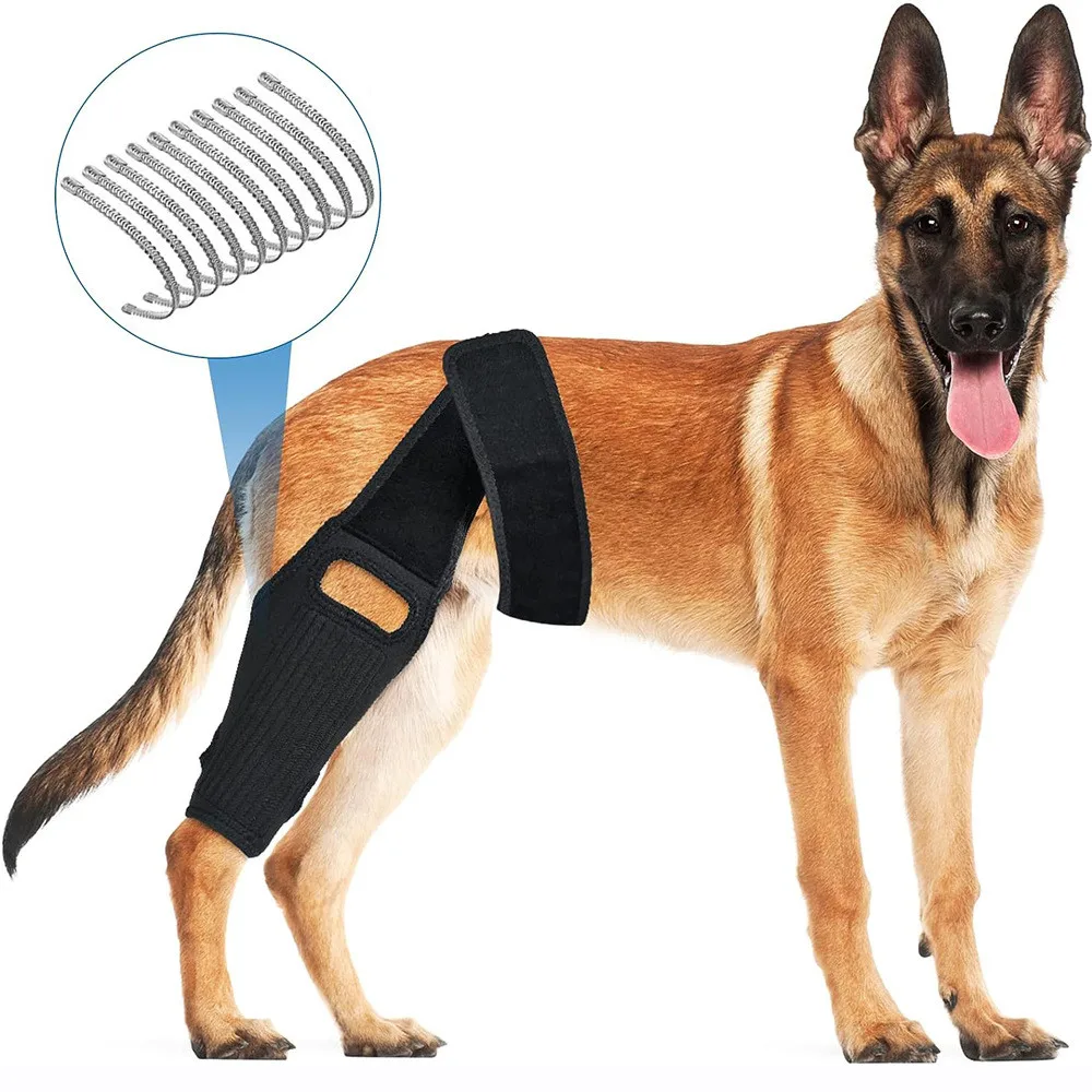 Pet Supplies Dog Leg joint Knee ACL Ligament Tear Protection Rehabilitation Belt Joint Dislocation Bracket