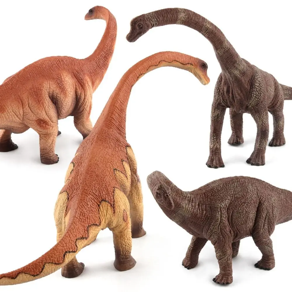 

Herbivorous Dinosaur Model Simulated Apatosaurus Dinosaur Action Figures Educational Home Decor Jurassic Dinosaur For Children