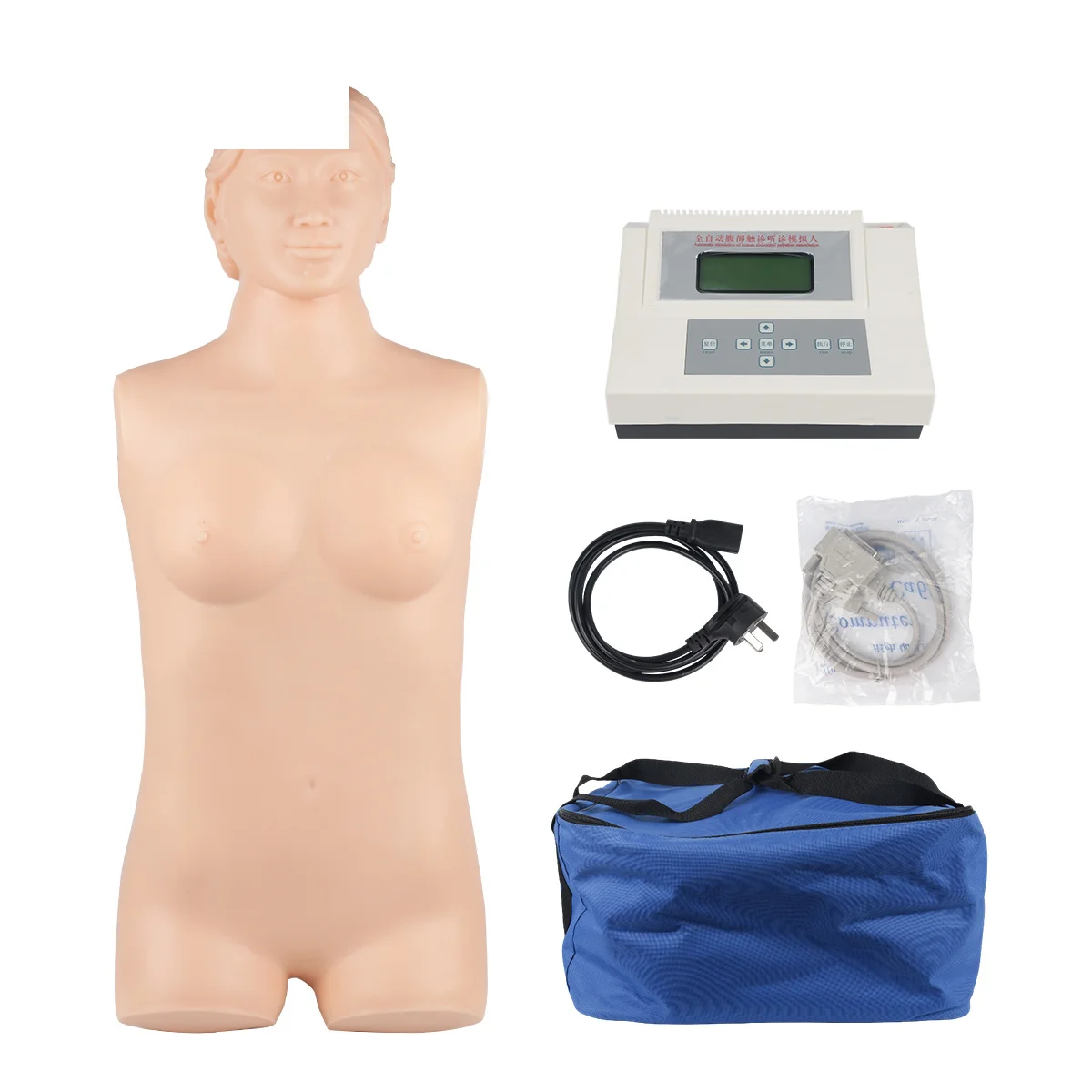 Abdominal Palpation Training Model For Medical Education Silicone