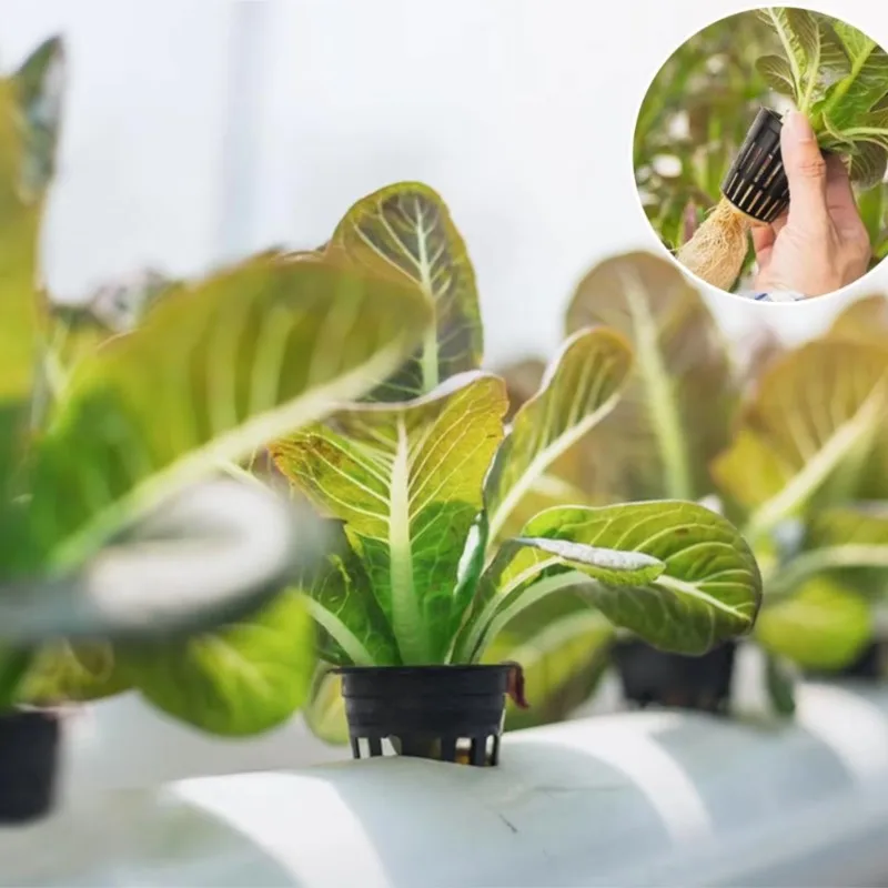 

Гидропонная сетчатая корзина-гамак для выращивания растений без почвы, пластиковый держатель для овощей, сетка для рассады, горшок-стакан