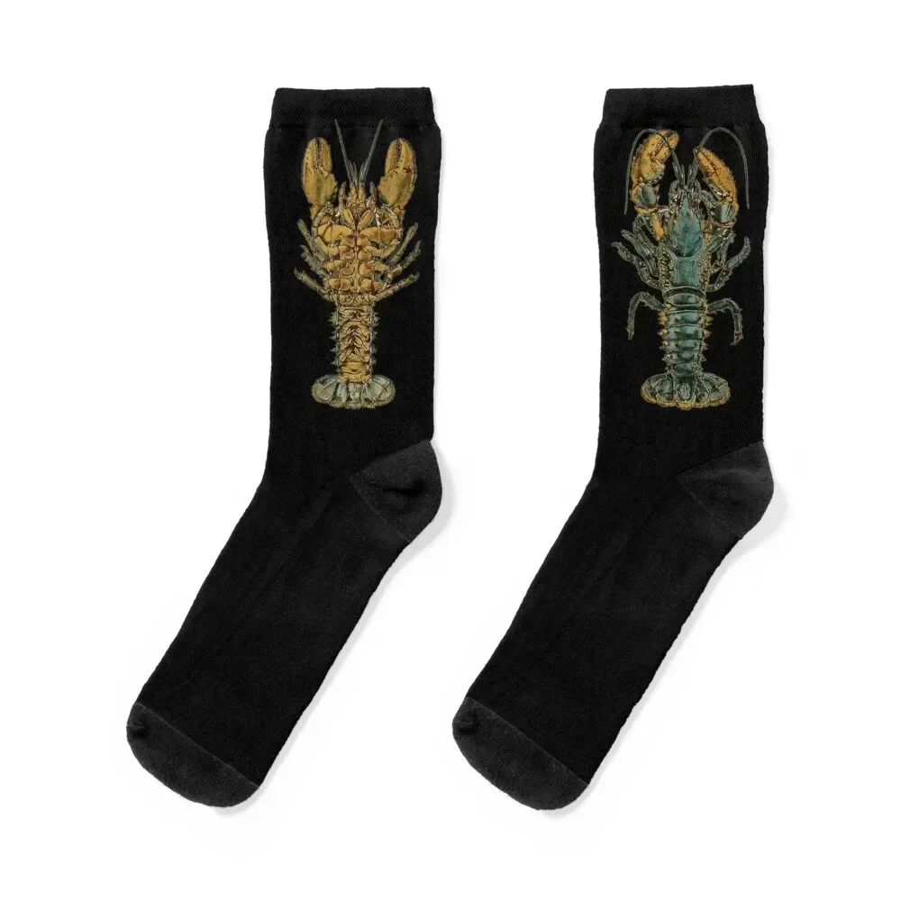 

Lobster Socks Toe sports Running moving stockings gym Socks Girl Men's