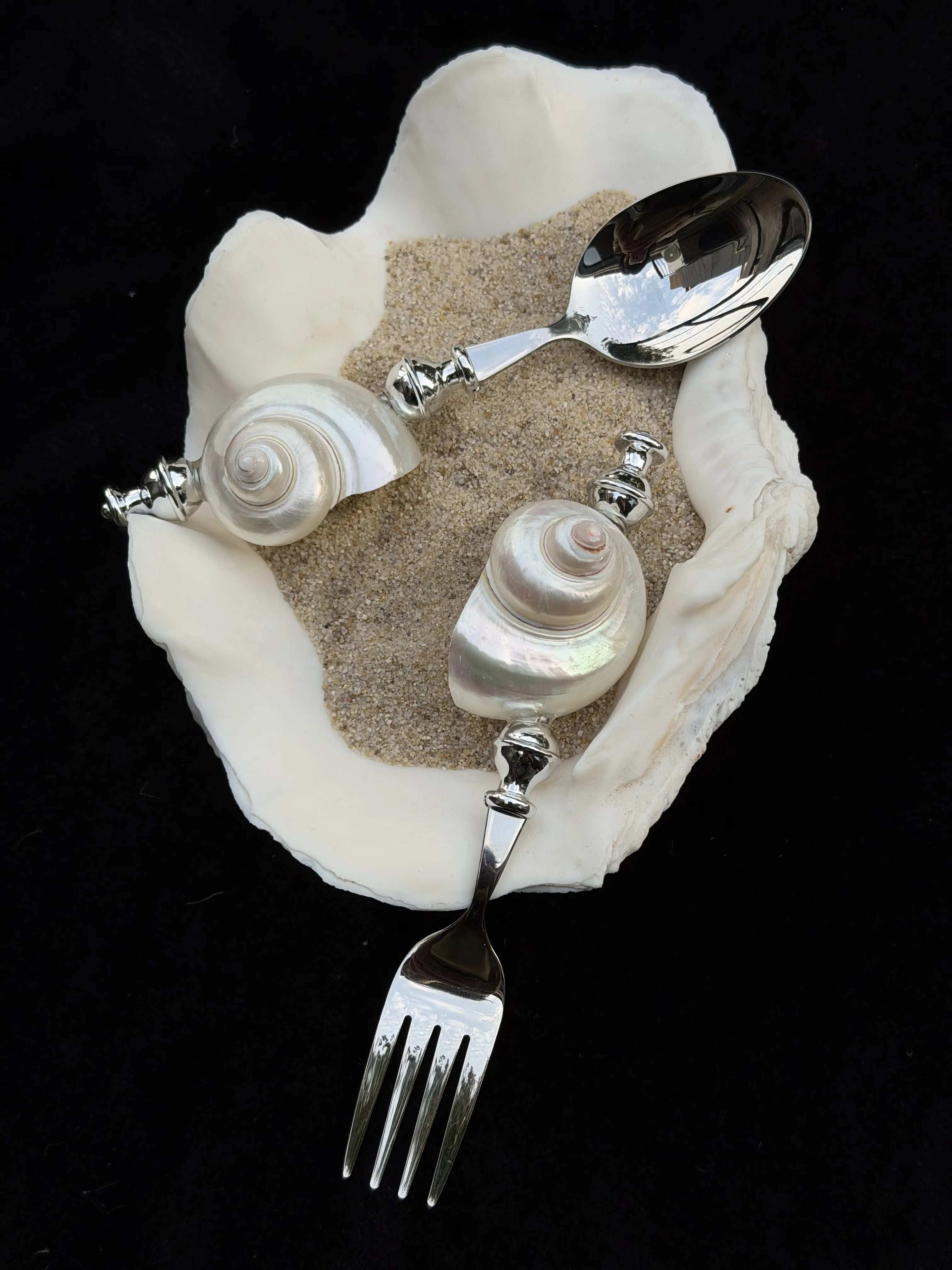 Natural Conch Stainless Steel Dinnerware Dessert Spoon Fork Knife Steak Knife Fork Soup Spoon view 3