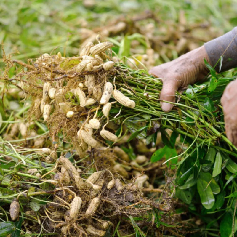 

2pcs 132mm Simulation Sand Ladder Recovery Ramps Board Escape Board Decoration for 1/8 1/10 1/12 1/14 RC Car SCX10 TRX4 D90