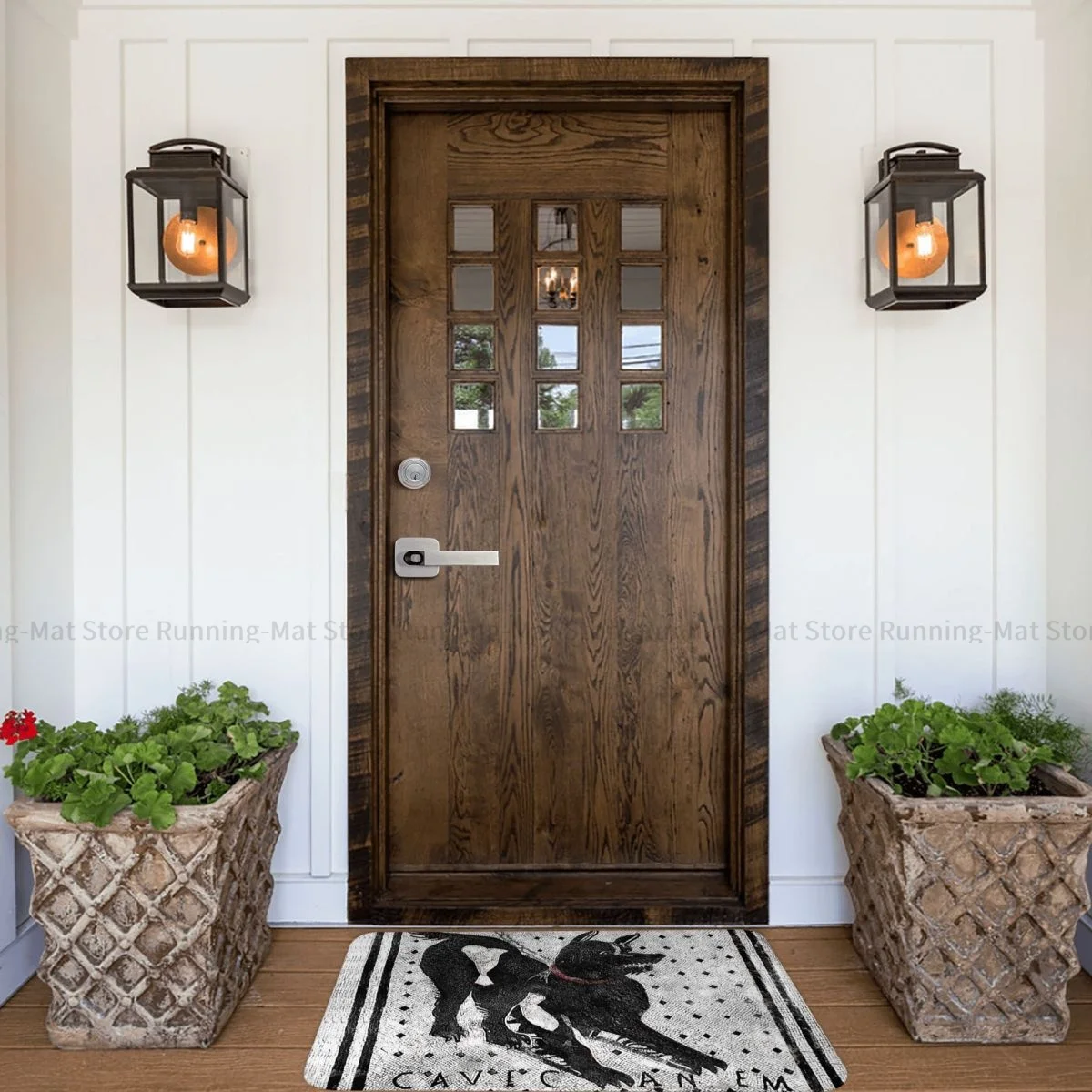 سجادة مطبخ مضادة للإنزلاق للكلاب كهف كانم حذار من كلب بومبي لاتيني سجادة مدخل باب سجادة ديكور داخلي #6