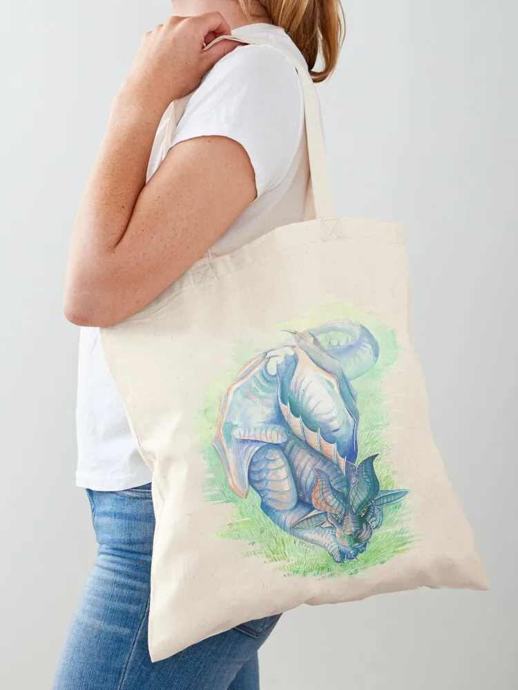 Snoozing Tote Bag Canvas bag for women reusable shopping bag shopping bags foldable