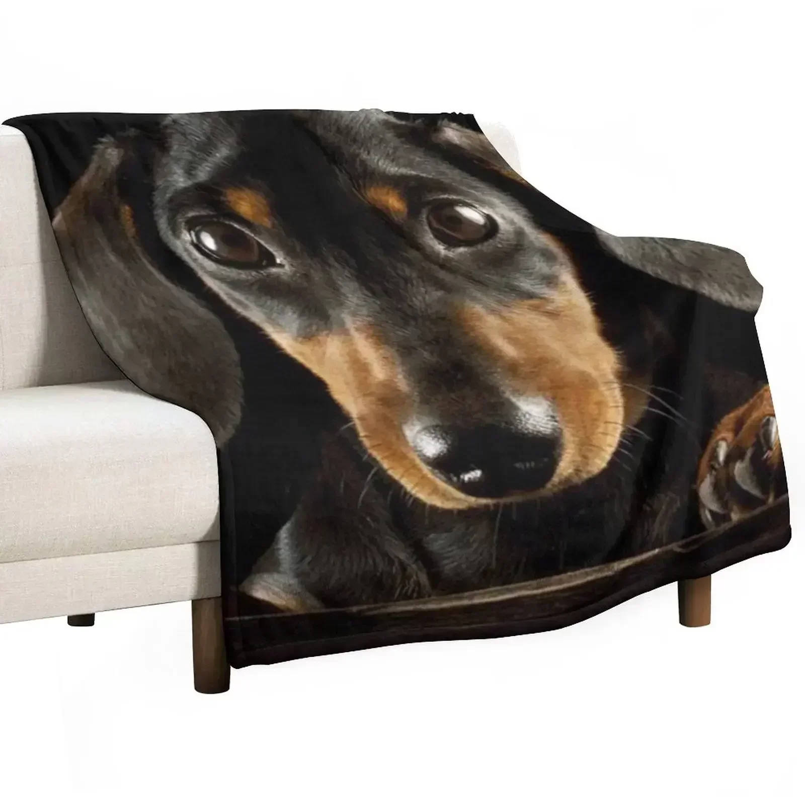 Dachshund Dog photo portrait Throw Blanket Soft Plush Blanket as Housewarming Gift