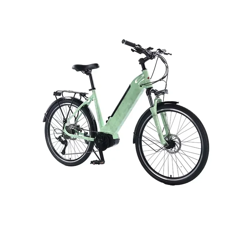 Electric Mountain Bike Lithium Battery E Bicycle Adult Off Road Cycling Ebike Power Assist Commuter Vehicle Outdoor Sports