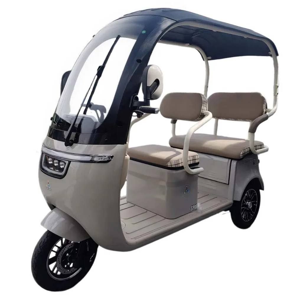 دراجة ثلاثية العجلات كهربائية 800 وات 60 فولت مع سقف دراجة كهربائية متعددة الاستخدامات للتنقل والترفيه