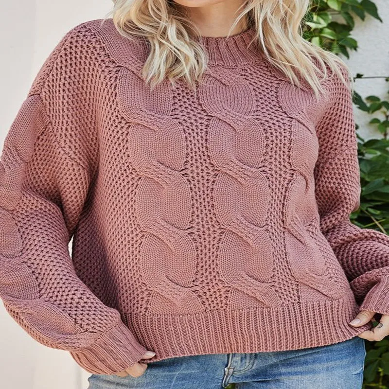 

2025 Autumn/Winter New Solid Color Twisted Flower Half High Collar Sweater European and American Long Sleeve Hoodie Knitted