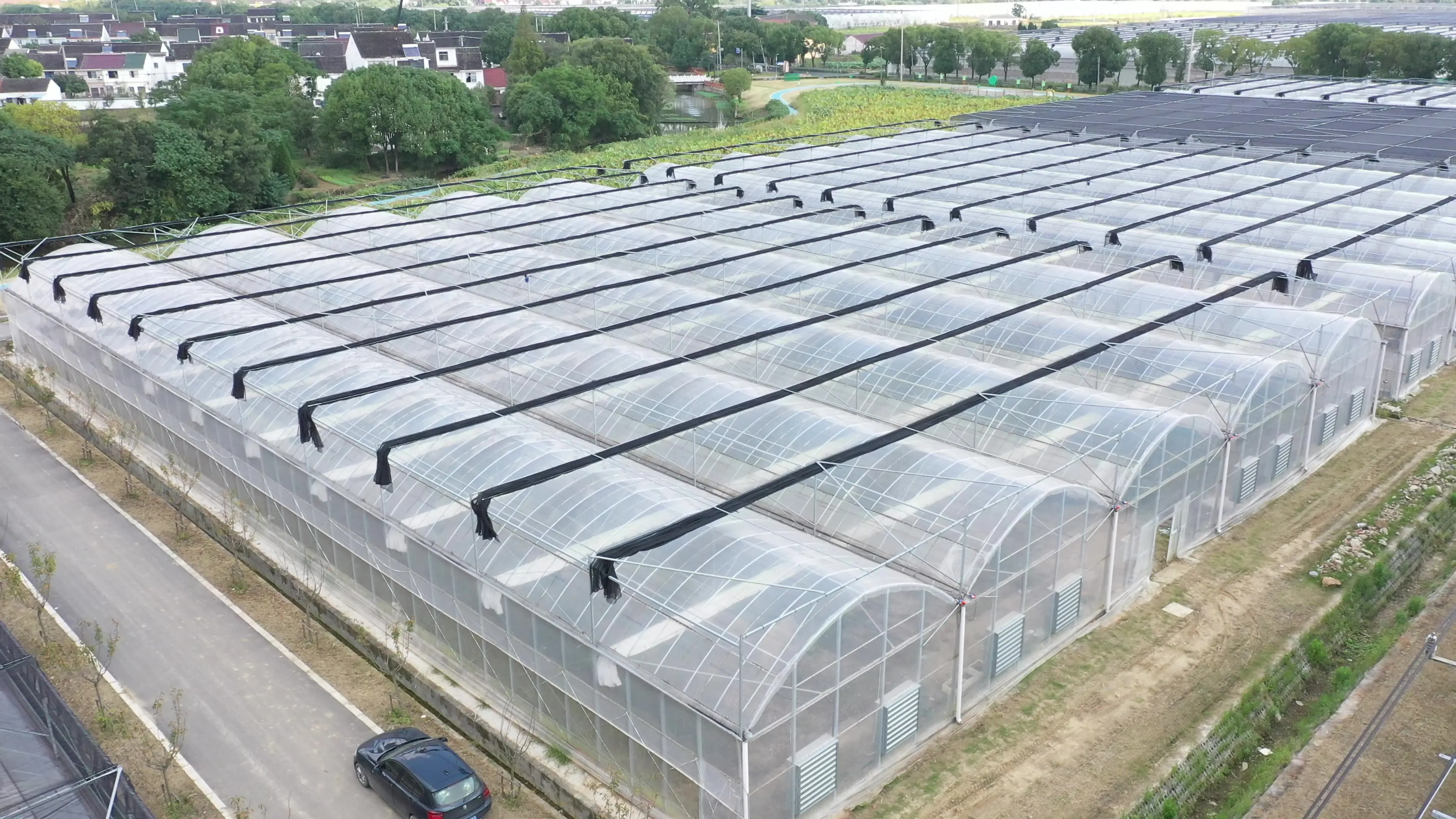 2025년 단일 경간 온실, 외부 차광 필름 온실, 다중 경간 채소 재배 온실