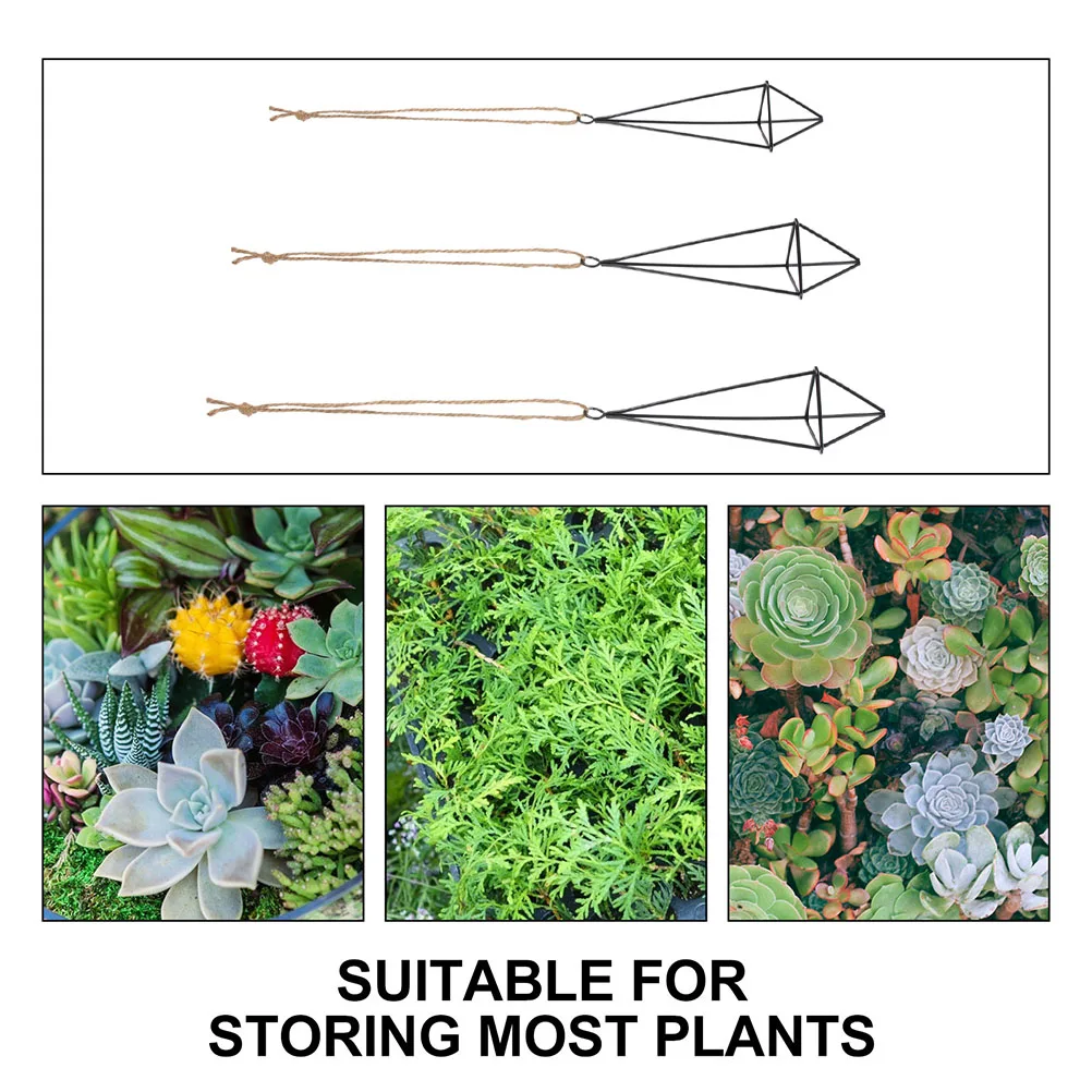 

3pcs Hanging Air Plant Holders Metal Geometric Design Durable Wall Mounted Planters Decorative Display Rack For Home Indoor