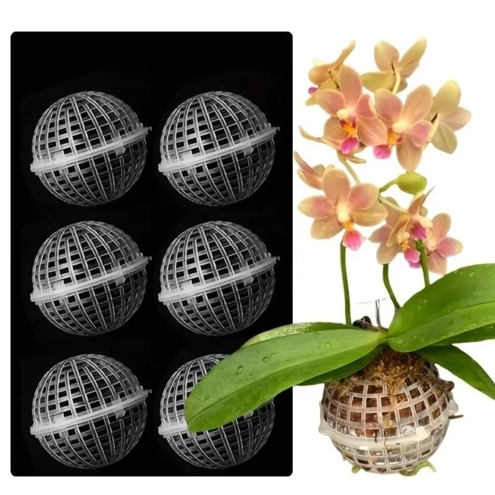 5Pcs Reusable Empty Porous Suspension Ball Transparent Plastic Suspended Ball Filler Hollowed Drainage Holes