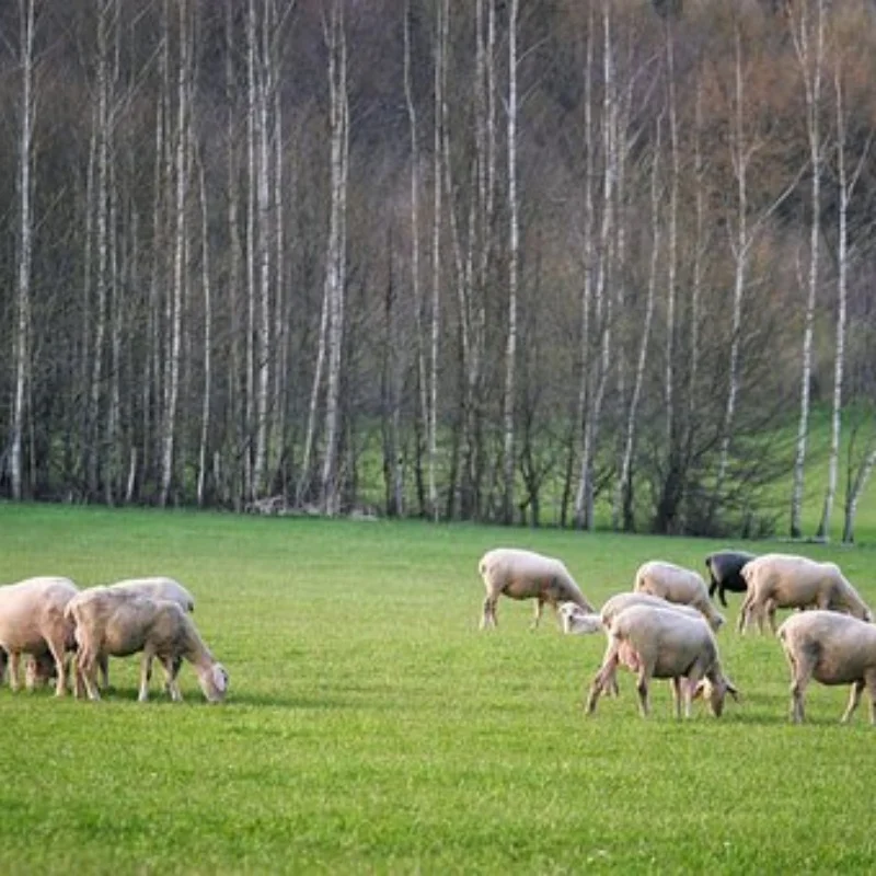 

1/12 Новые запасные части для автомобиля с дистанционным управлением MN99S, металлическое обновление, рулевая тяга, амортизатор, комплект сумки