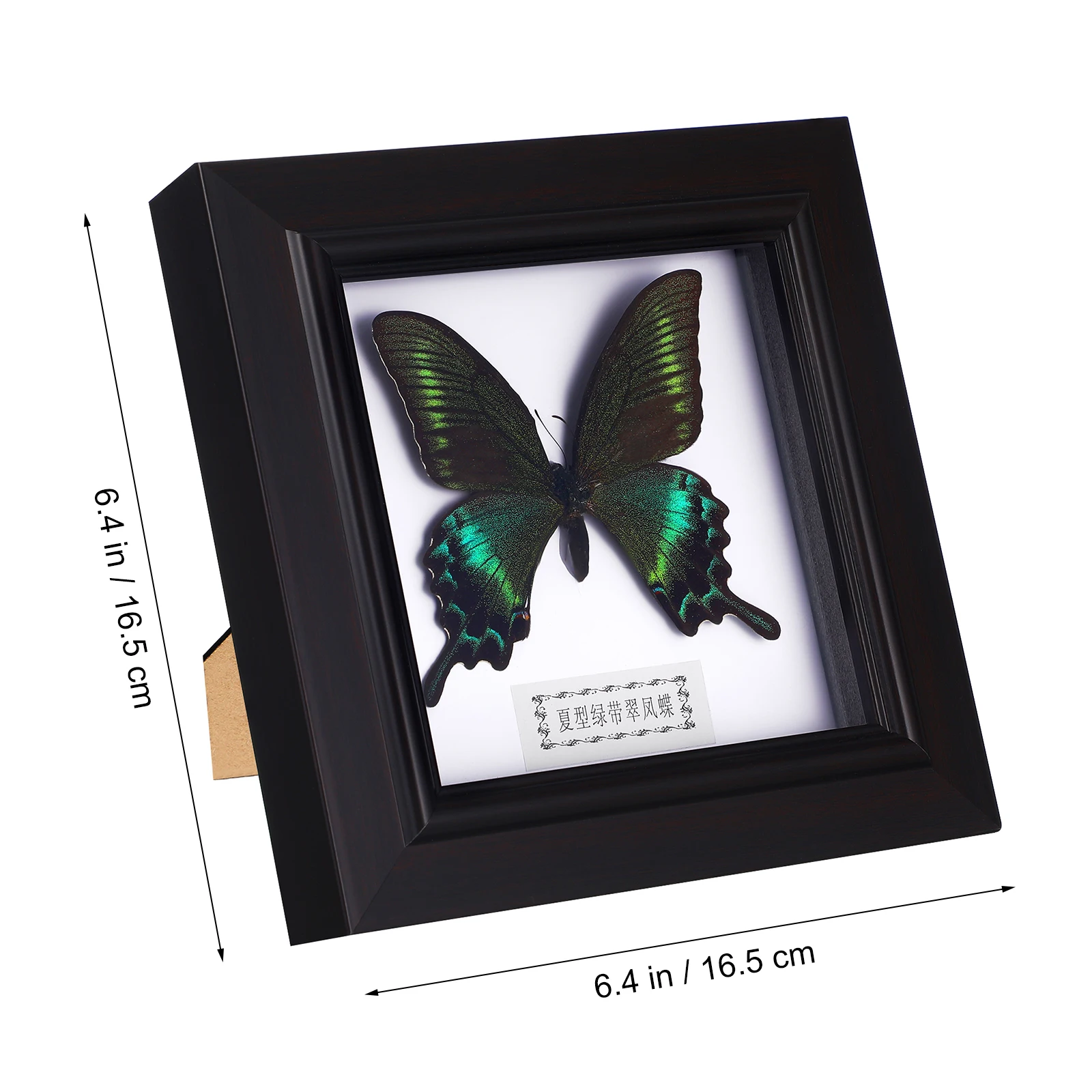 Butterfly Specimens Display Frame Home Decoration Display Collectibles Boxed Photo Frame Home Office Specimen Pendant NEW