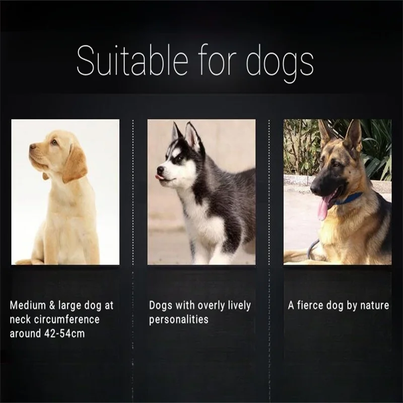 스테인레스 스틸 개 목걸이 체인 P 레버, 중형 대형 애완 동물, 몸부림 방지, 당기지 않는 목 슬립 칼라, 걷기 액세서리, 10mm