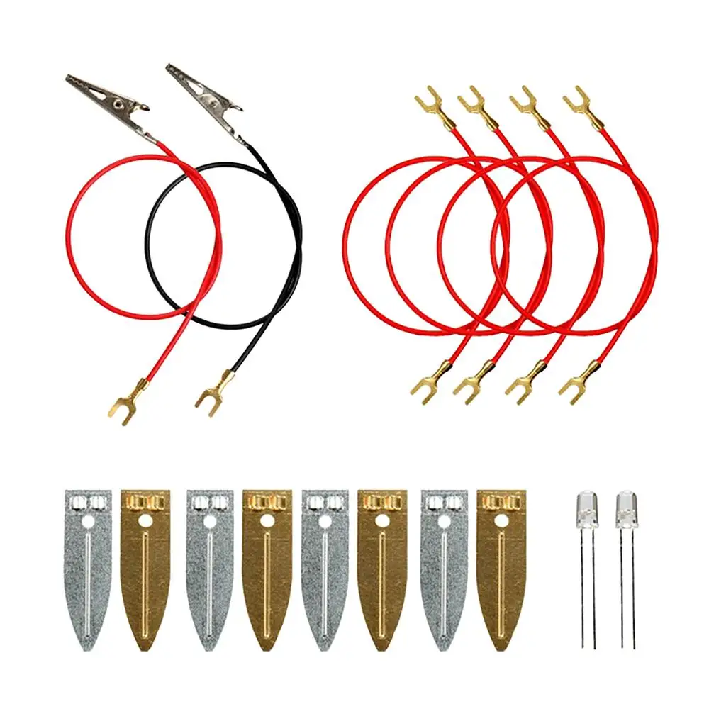 Kit scientifici Set Fruit Power Generation Esperimenti scientifici Giocattoli educativi