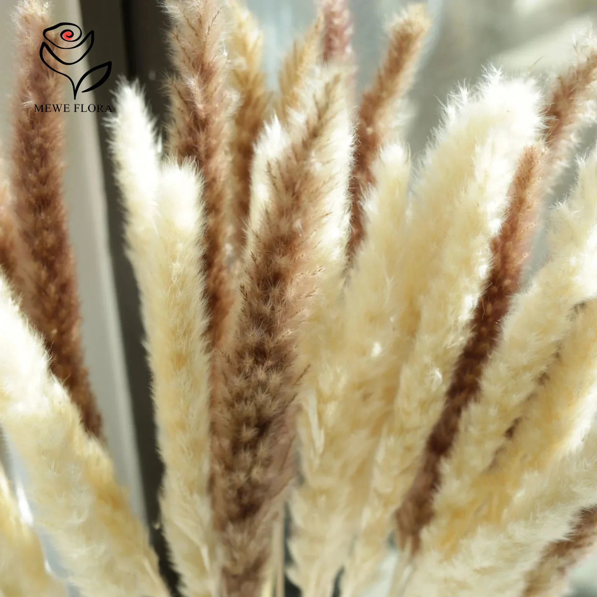 30pcs Dried Flowers Natural Pampas Bouquet Home Decorations Fluffy Phragmites Pampa Wedding Decor Artificial Flower Photo Props