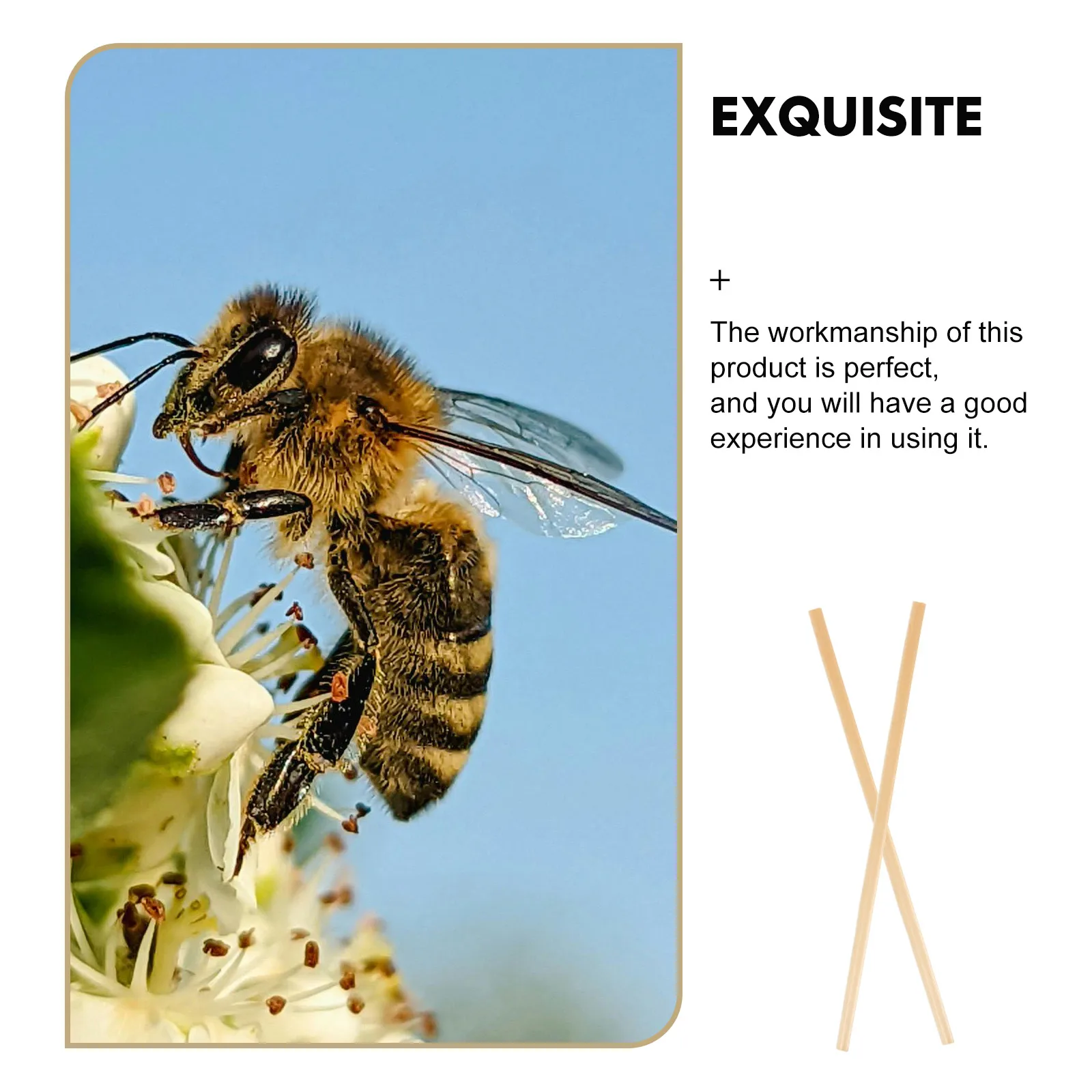 

100pcs Bee Nesting Tubes Straw Beekeeping Houses Natural Design Lightweight Garden Bees Attract Replacement Inserts