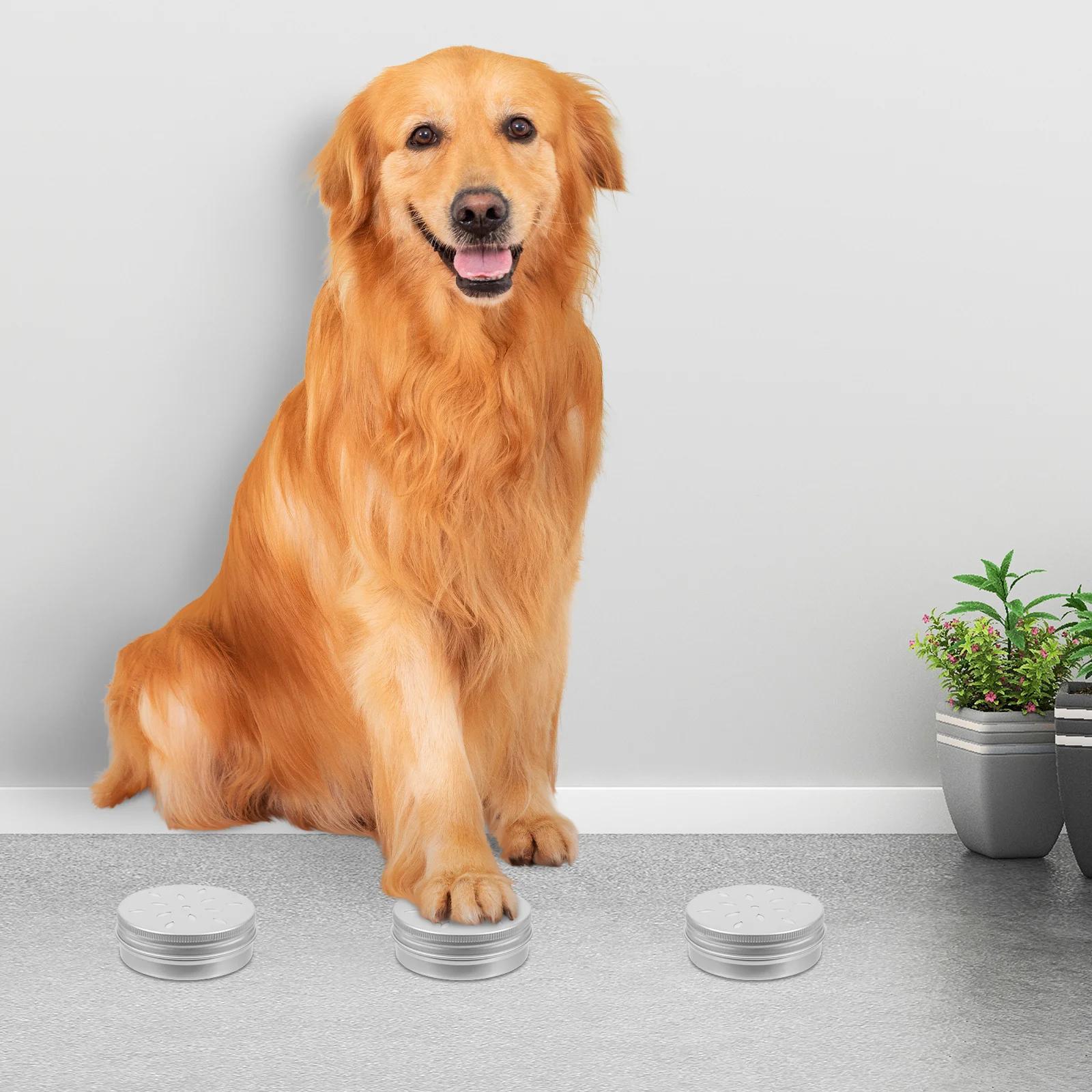 

10pcs Scent For Dogs Nose Sniffle Box Aroma Case Odor Kit Dog Training Supplies Odor Training Tool For Dogs Container