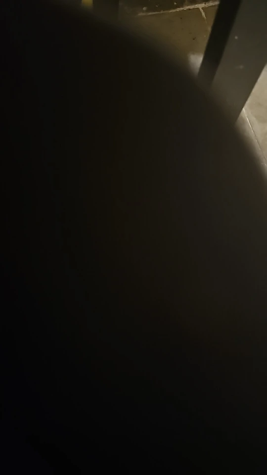 실물 포토 리뷰