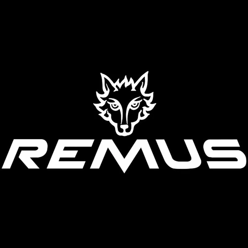 Image of Remus-Aufkleber mit individuellem Geschmack, geeignet für Autos, Motorräder, Helme, externer wasserfester Sonnenschutzaufkleber, 15 cm x 15 cm
