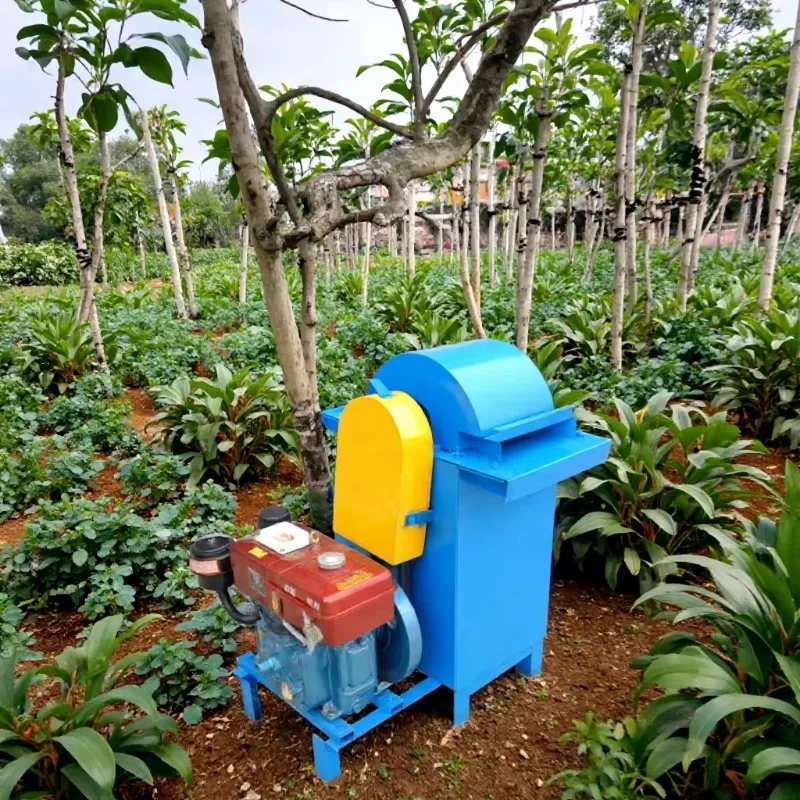 Customized Multifunctional Sisal Leaf Decorticator Machine Sisal Fiber Extraction in Tanzania