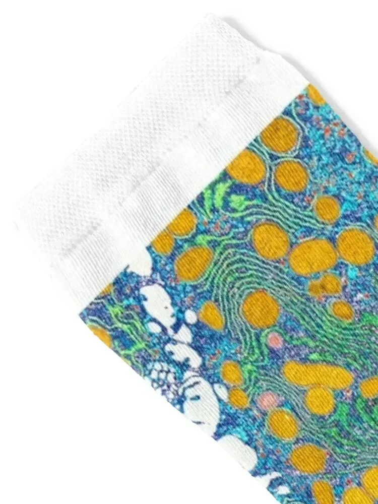 خلايا الكبد، TEM (P530/0191) جوارب لركوب الدراجات هدية مضحكة لصالة الألعاب الرياضية جوارب للأولاد والأطفال للسيدات #2