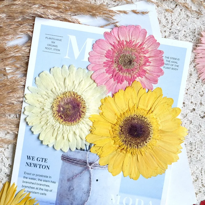 1pcs/7-9cm,Pressed Gerbera Dried Flowers Sunshine Color Dry Flowers DIY Craft Stickers Resin Phone Case Handmade Decor Materials