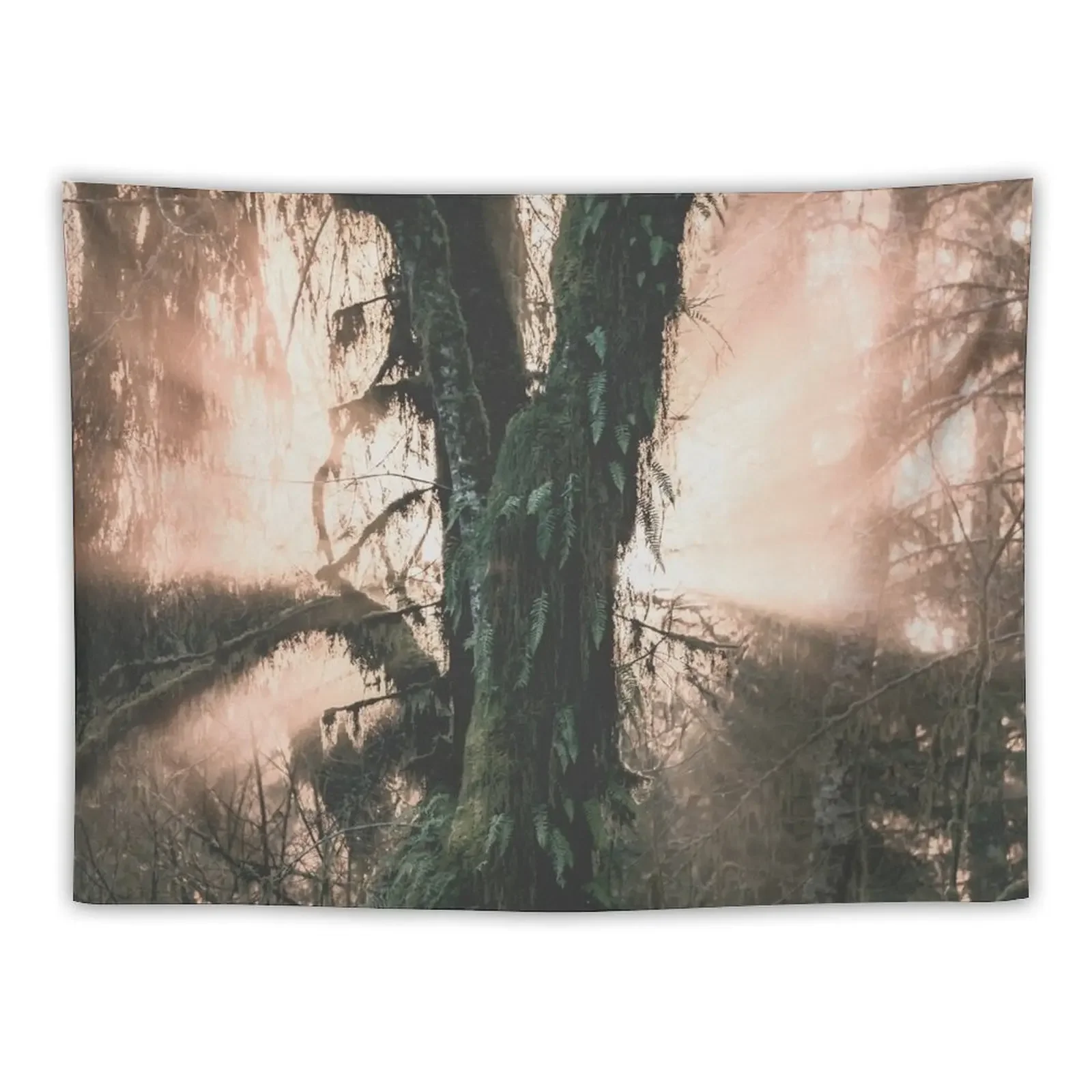 

Hoh Rainforest Treasure Tapestry Wallpapers Home Decor Decor Home Decorative Wall Tapestry