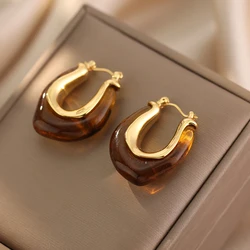 New European and American Fashion Classic Temperament Copper Amber U-shaped Earrings for Women's Banquet Jewelry Earrings 2023