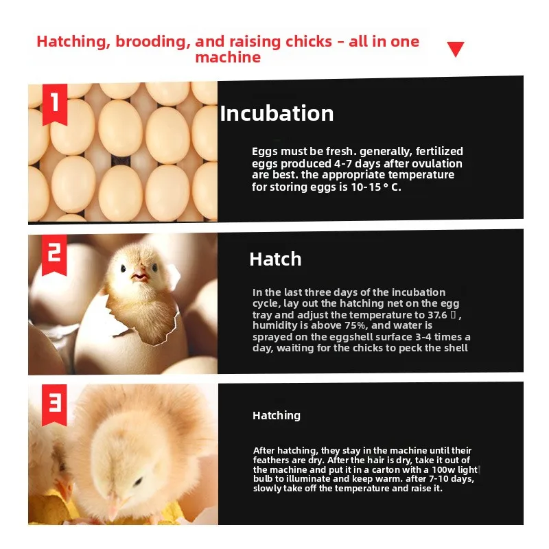 Medium and Large Incubators Household Automatic Egg Incubators Intelligent Large and Medium-sized Breeding Incubators