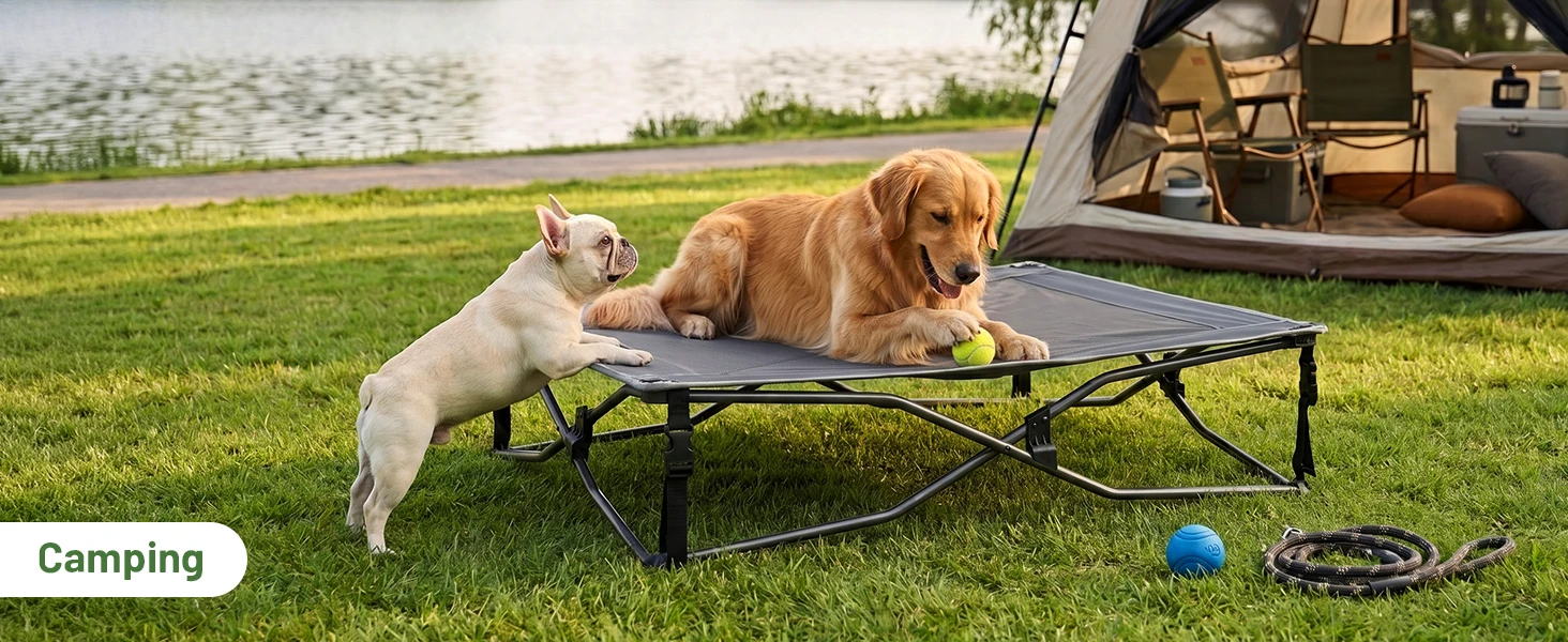 dog cot