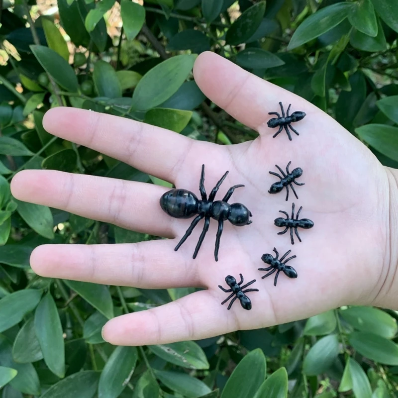 Soft Rubber Ant Sim…