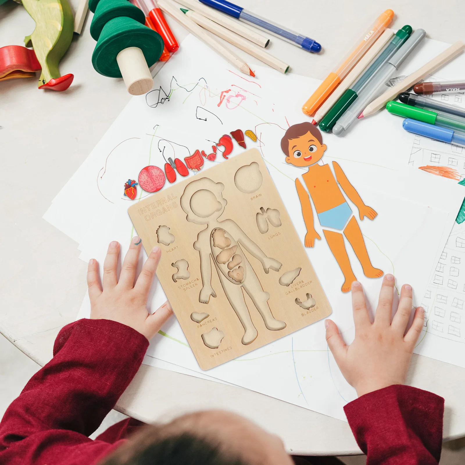 

1Set Human Body Puzzle Educational Anatomy Learning Early Education Teaching Aid for Kids Preschool Cognitive Development