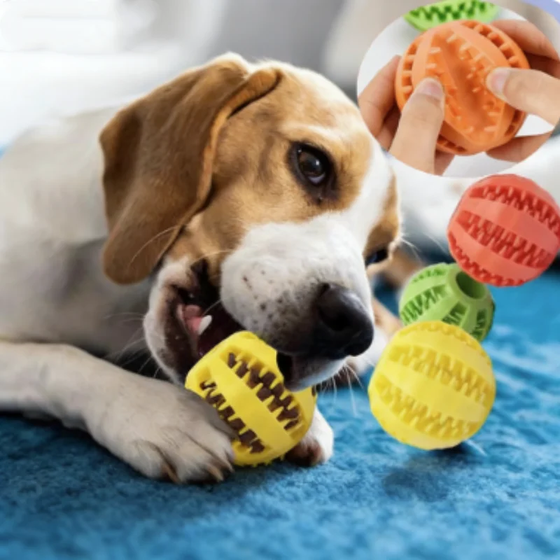 Thumbnail 3 - #52 Best Puppy Balls to Buy In 2026