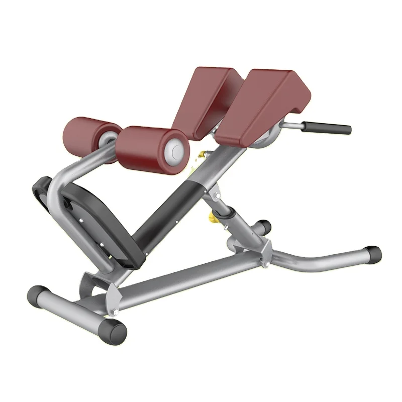 New Design Fitness Exercise Bench Back Extension Gym Spoer Equipment Adjustable Roman Chair For Sale