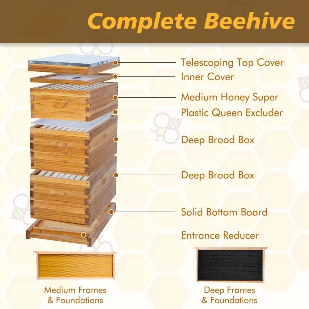 8-Frame Langstroth Beehive Dipped in 100% Beeswax, Bees Hive for Beginner, Honey Bee Hives Includes 2 Deep Bee Boxes, 1 Bee Hive