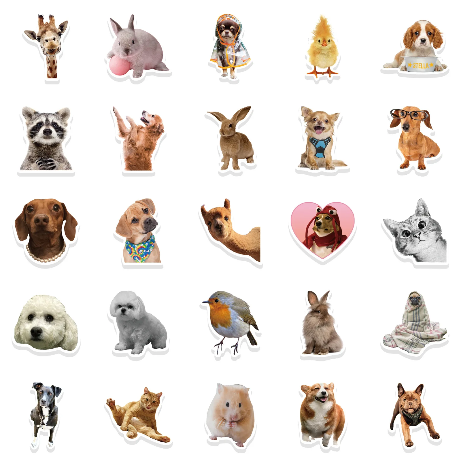 50 PCS Funny Dog Stickers Cute Animal Sticker for Journaling Laptop Scrapbook Water Bottles Guitar Suitcase Phone Snowboard